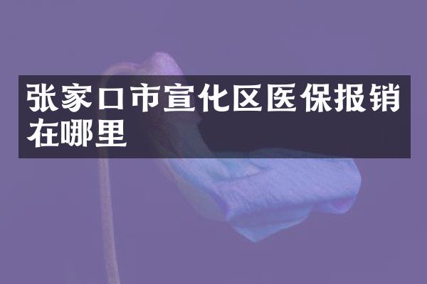 张家口市宣化区医保报销在哪里
