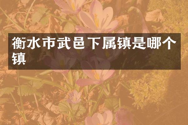 衡水市武邑下属镇是哪个镇