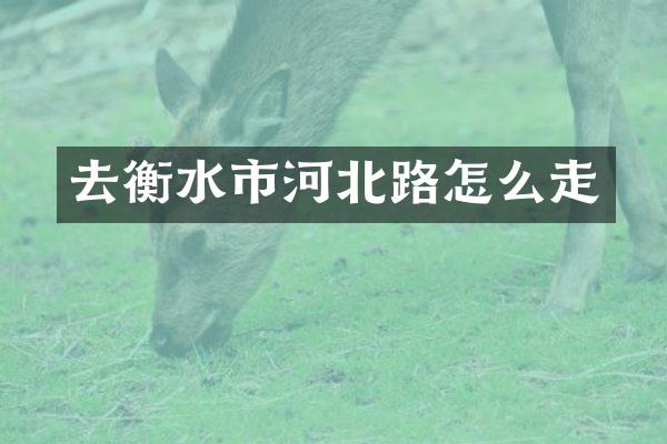 去衡水市河北路怎么走