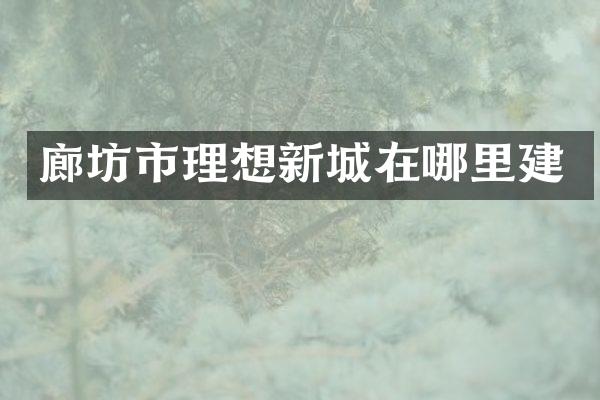 廊坊市理想新城在哪里建