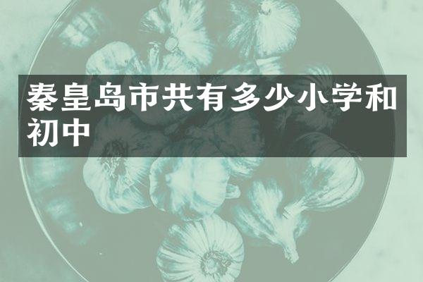 秦皇岛市共有多少小学和初中