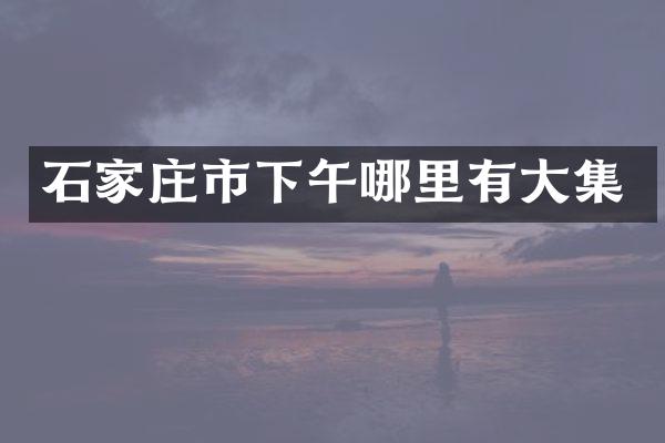 石家庄市下午哪里有大集