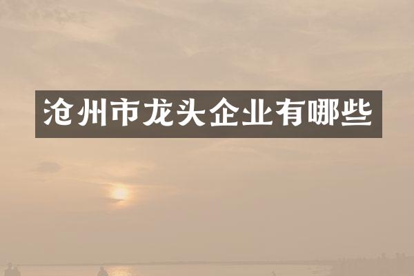 沧州市龙头企业有哪些