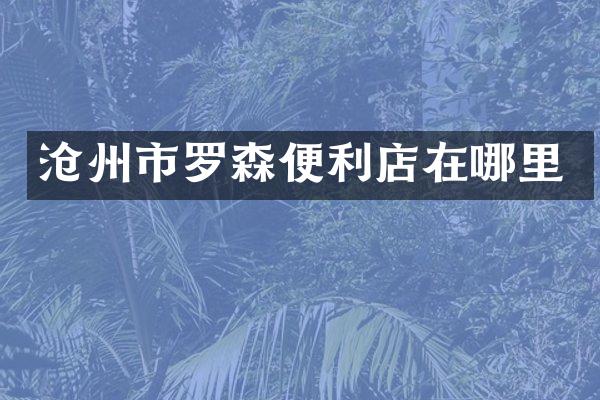 沧州市罗森便利店在哪里