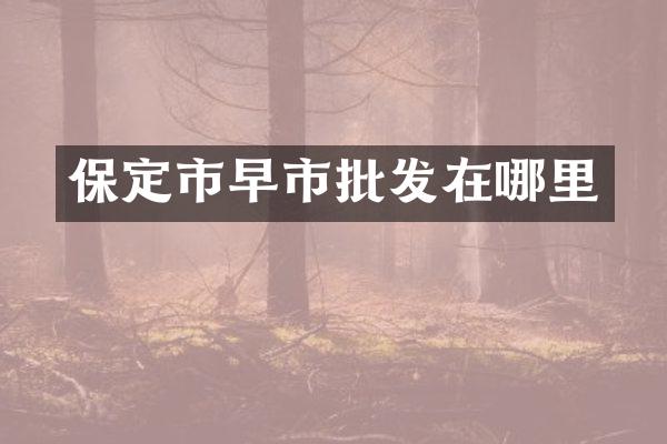 保定市早市批发在哪里