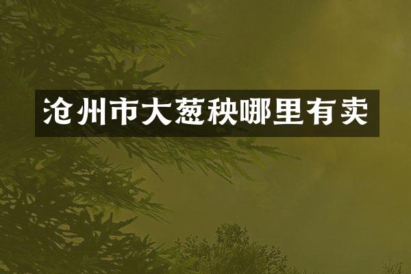 沧州市大葱秧哪里有卖