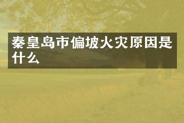 秦皇岛市偏坡火灾原因是什么