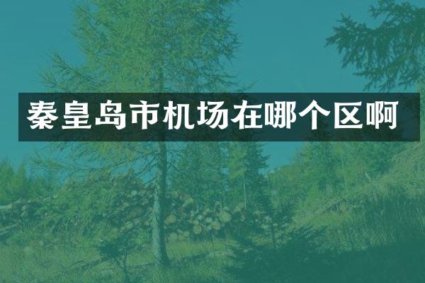 秦皇岛市机场在哪个区啊
