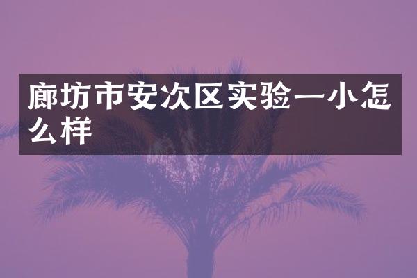 廊坊市安次区实验一小怎么样