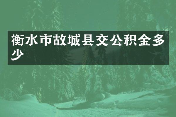 衡水市故城县交公积金多少