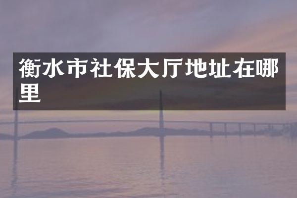 衡水市社保大厅地址在哪里