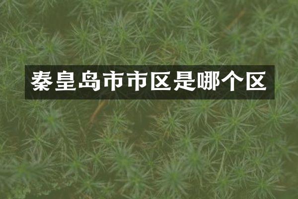 秦皇岛市市区是哪个区