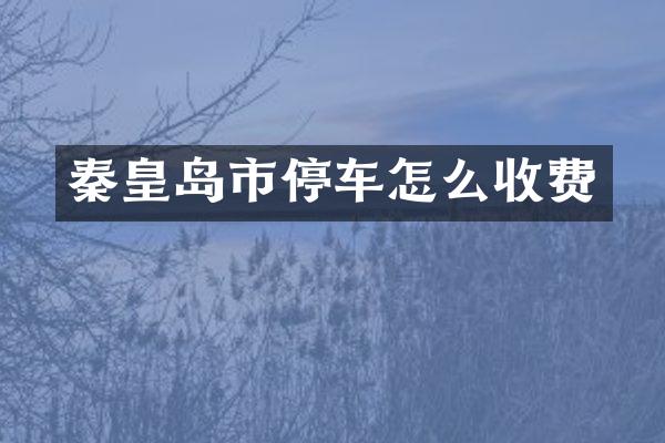 秦皇岛市停车怎么收费