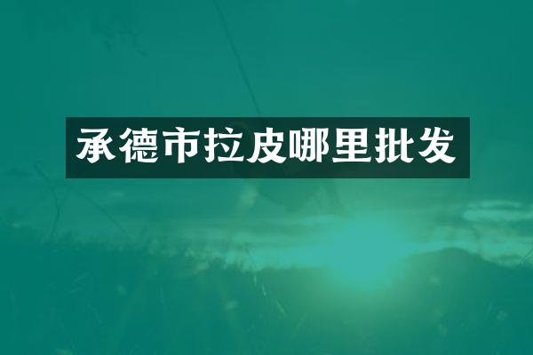 承德市拉皮哪里批发