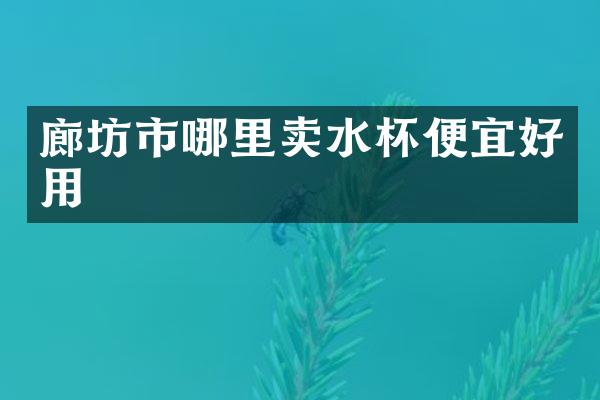 廊坊市哪里卖水杯便宜好用