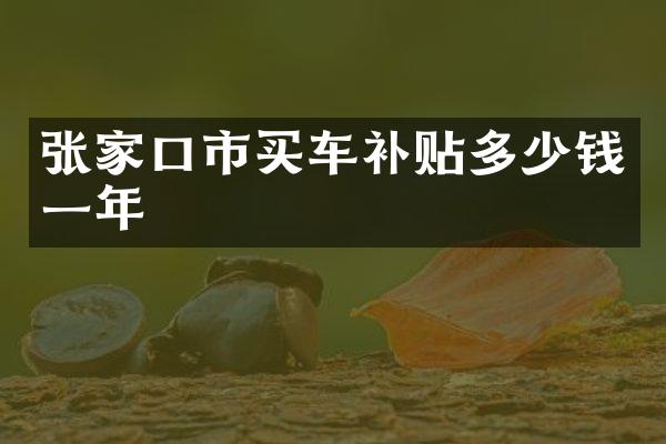 张家口市买车补贴多少钱一年