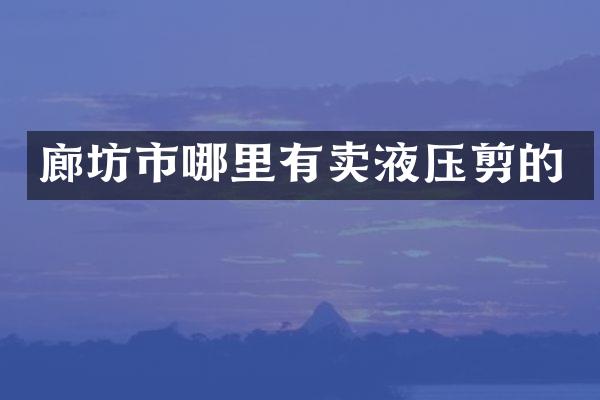 廊坊市哪里有卖液压剪的