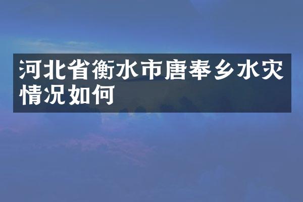 河北省衡水市唐奉乡水灾情况如何
