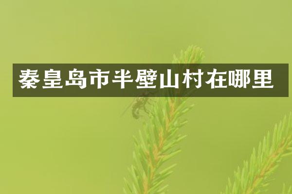 秦皇岛市半壁山村在哪里