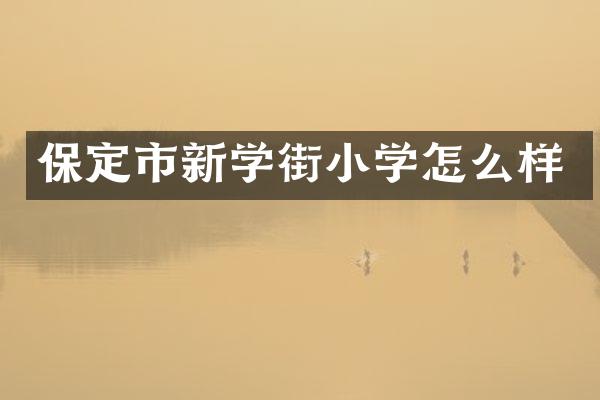保定市新学街小学怎么样
