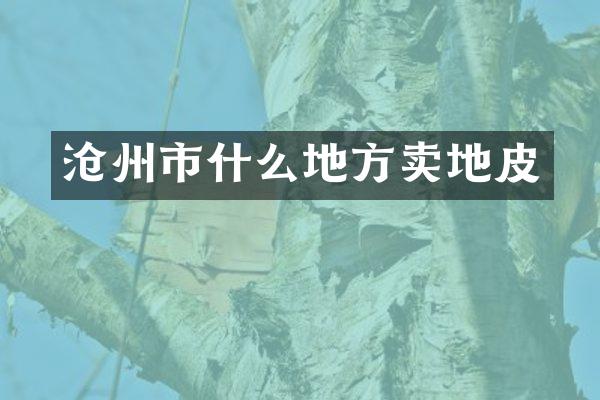 沧州市什么地方卖地皮