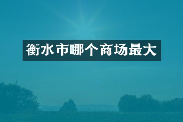 衡水市哪个商场最大
