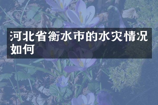 河北省衡水市的水灾情况如何