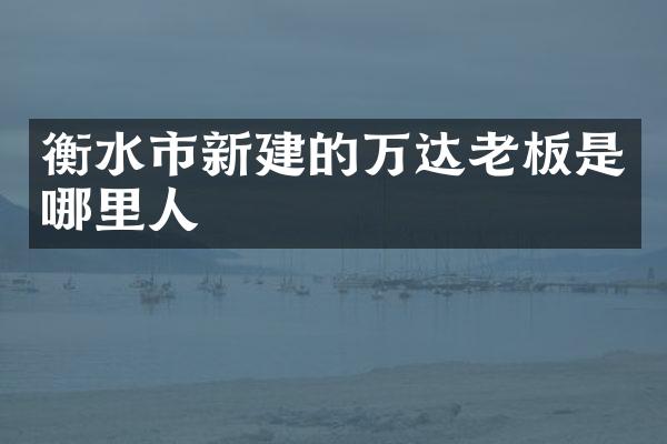 衡水市新建的万达老板是哪里人