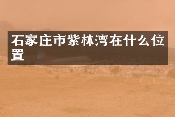 石家庄市紫林湾在什么位置