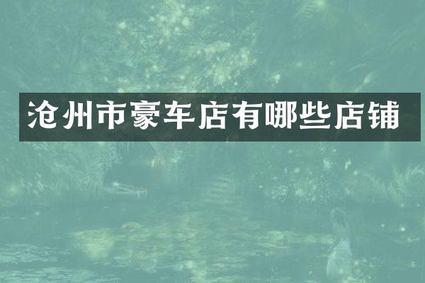 沧州市豪车店有哪些店铺