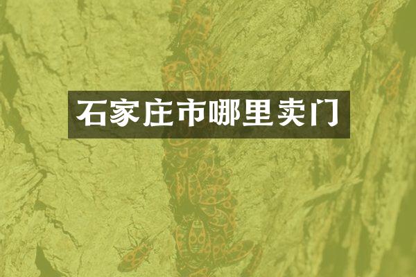 石家庄市哪里卖门