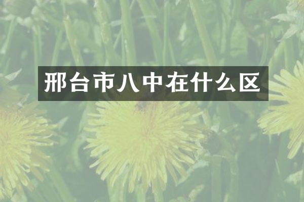邢台市八中在什么区