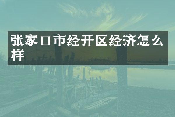 张家口市经开区经济怎么样