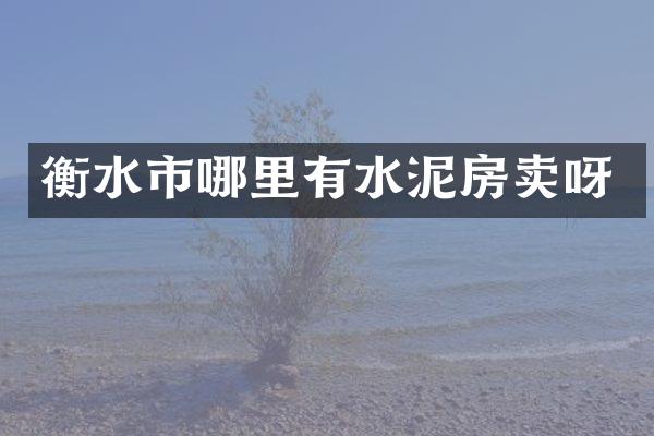 衡水市哪里有水泥房卖呀