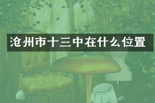 沧州市十三中在什么位置
