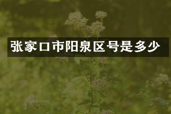张家口市阳泉区号是多少