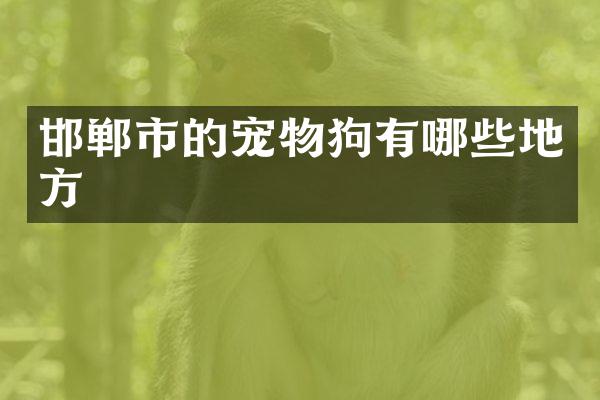 邯郸市的宠物狗有哪些地方