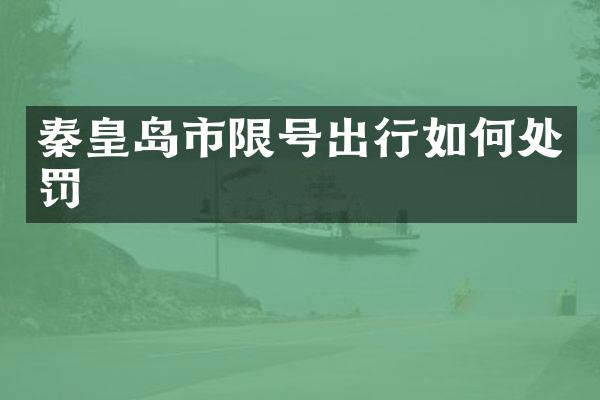 秦皇岛市限号出行如何处罚