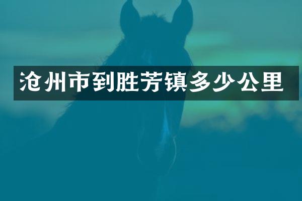 沧州市到胜芳镇多少公里