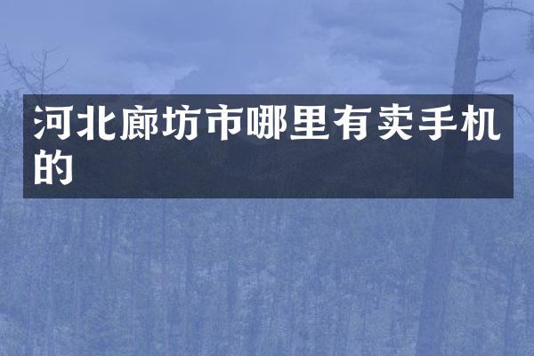 河北廊坊市哪里有卖手机的