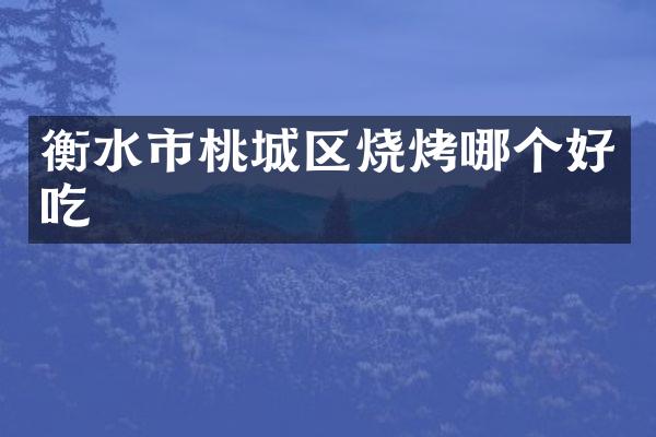 衡水市桃城区烧烤哪个好吃
