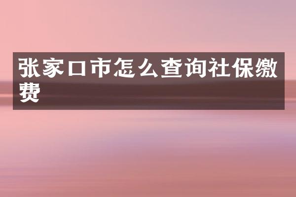 张家口市怎么查询社保缴费