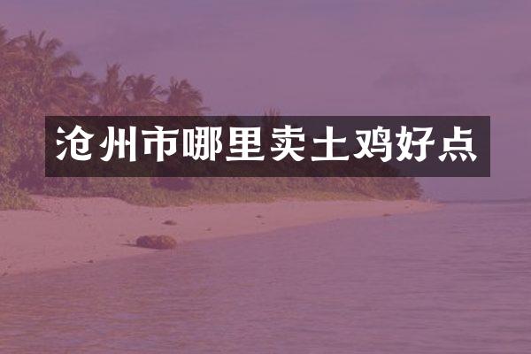 沧州市哪里卖土鸡好点