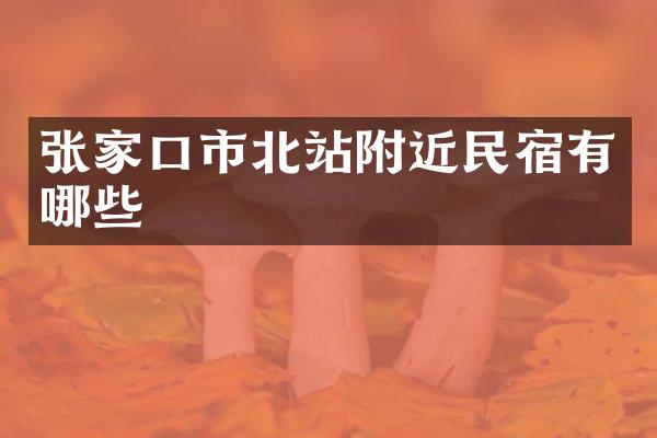 张家口市北站附近民宿有哪些