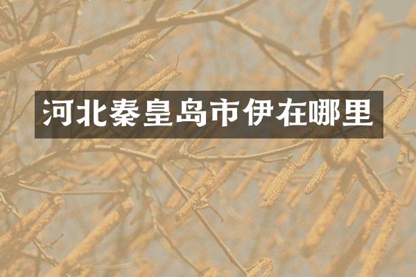 河北秦皇岛市伊在哪里