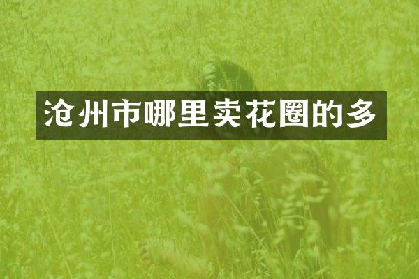 沧州市哪里卖花圈的多