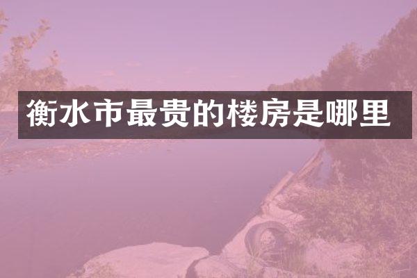 衡水市最贵的楼房是哪里