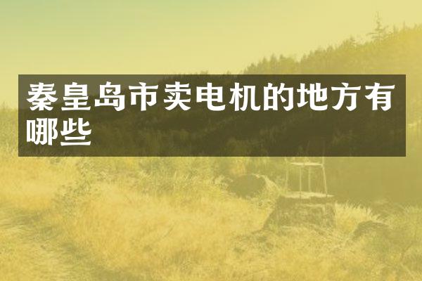 秦皇岛市卖电机的地方有哪些