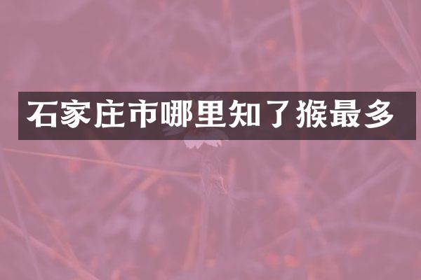 石家庄市哪里知了猴最多