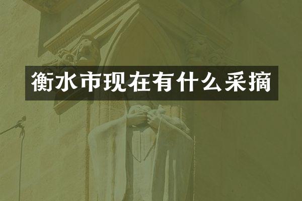 衡水市现在有什么采摘